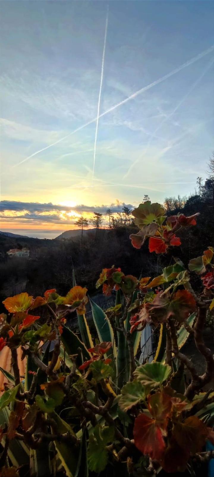 Segni E Impronta Bed and Breakfast Finale Ligure Eksteriør billede